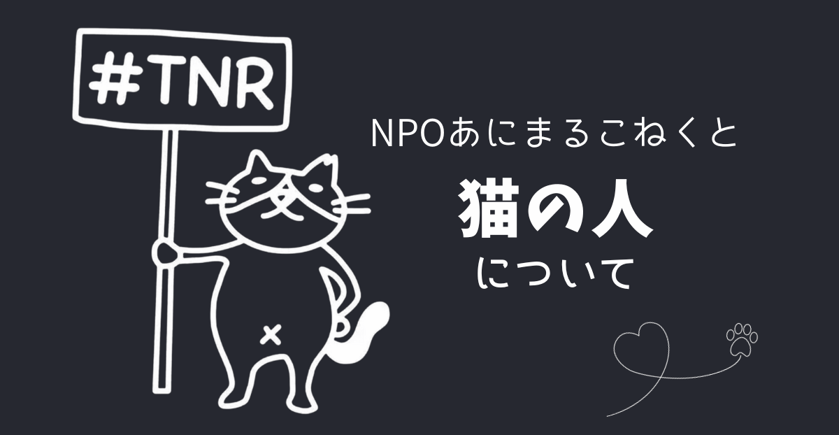 猫の人出来るまで…